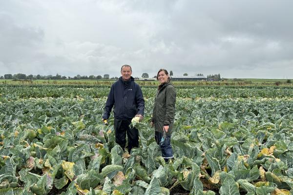 Man en vrouw in veld met Duurzame bloemkool